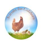 logo colihues